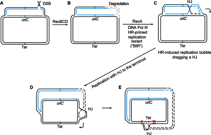 Fig. 9