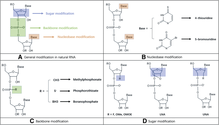 Figure 4