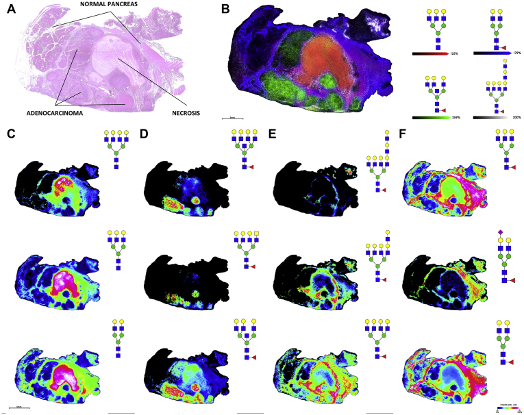 Fig. 3