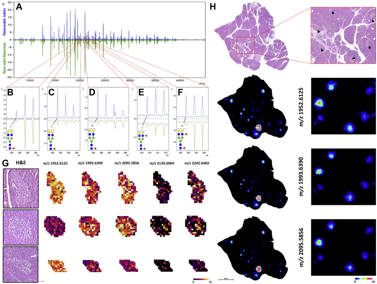 Fig. 2