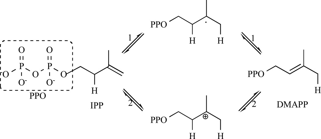 Fig. 12