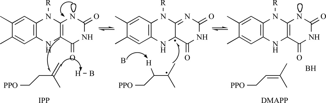 Fig. 13