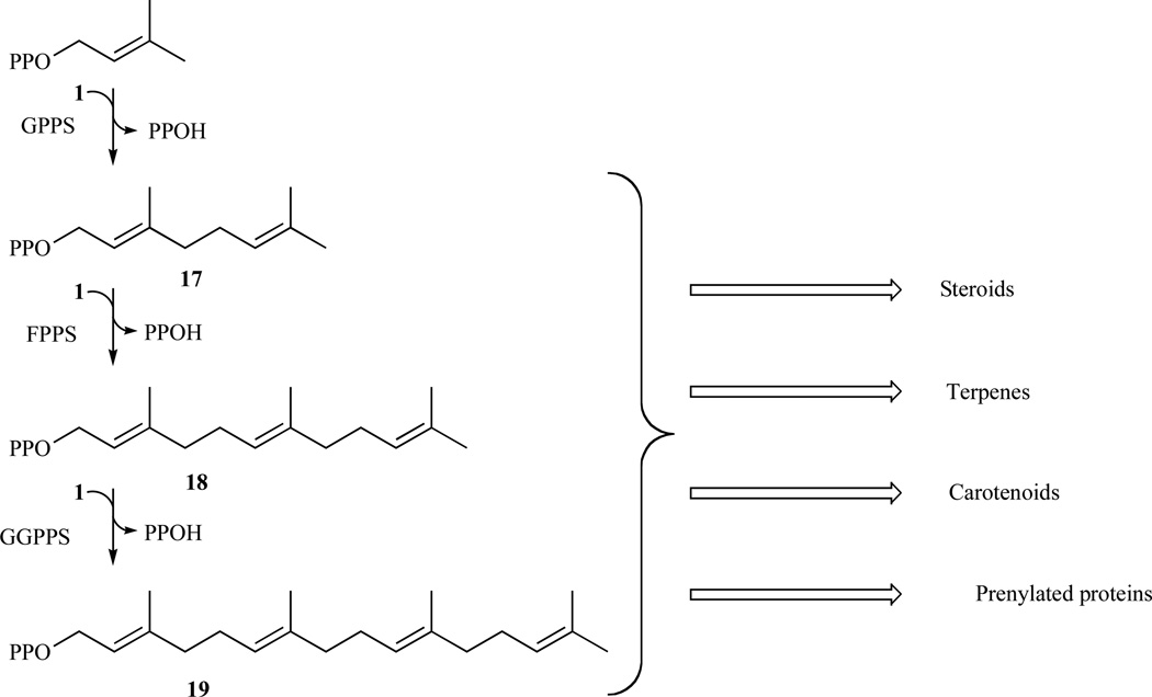 Fig. 10