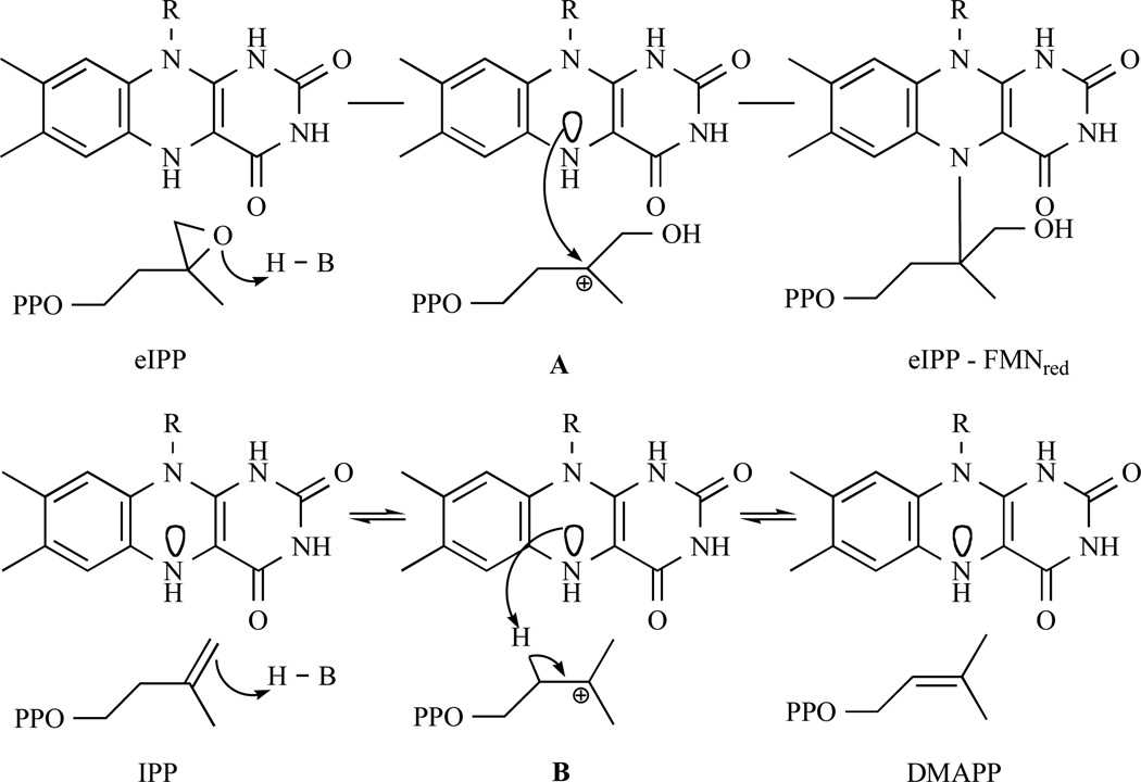 Fig. 14