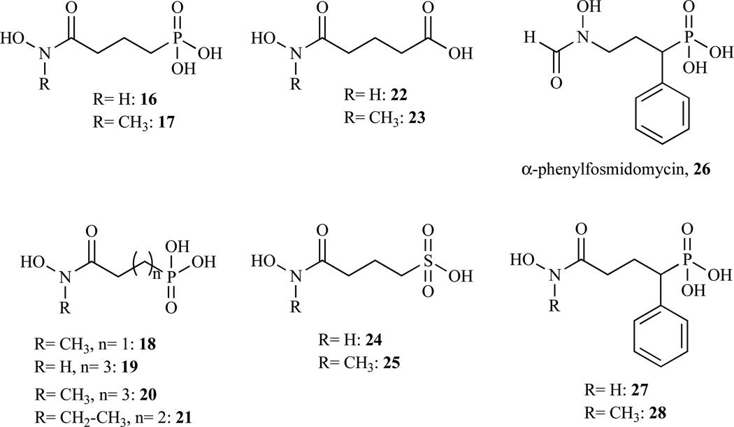 Fig. 8