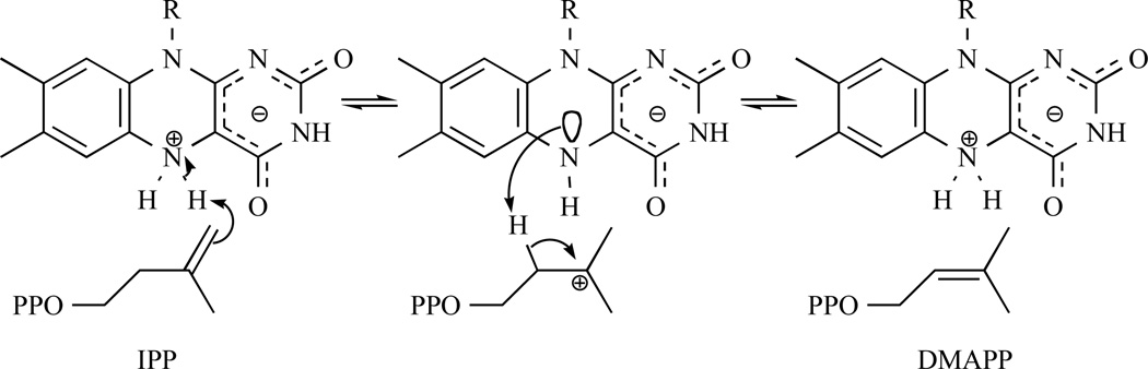 Fig. 16