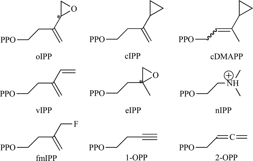 Fig. 15