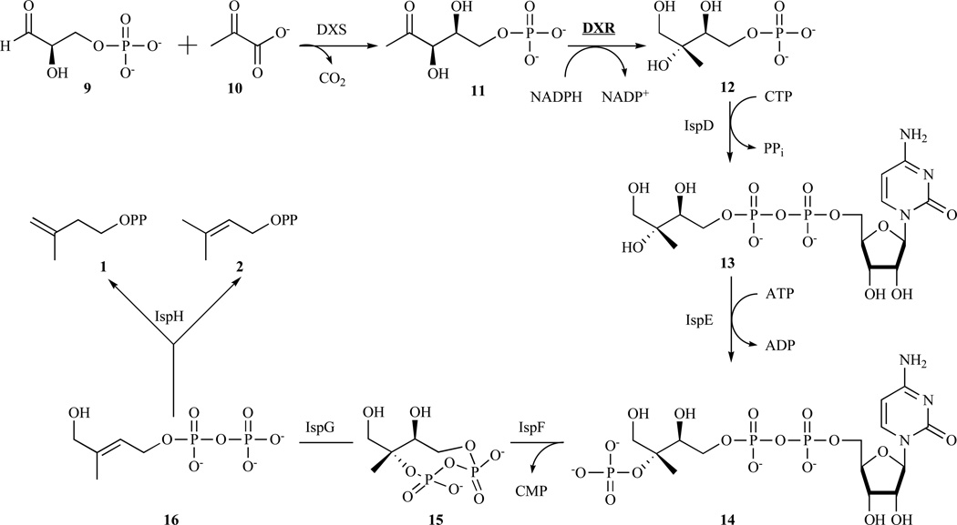 Fig. 3