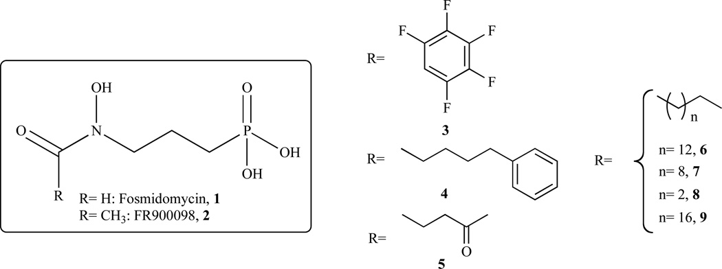 Fig. 5