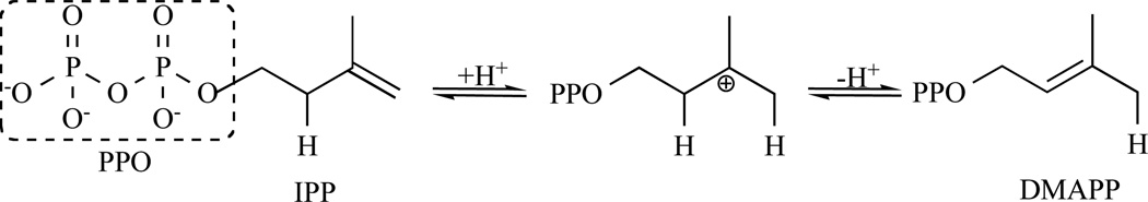 Fig. 11