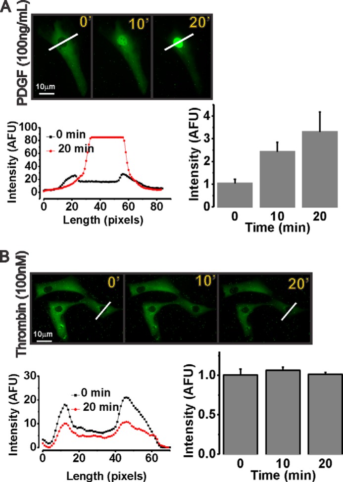 FIGURE 10.