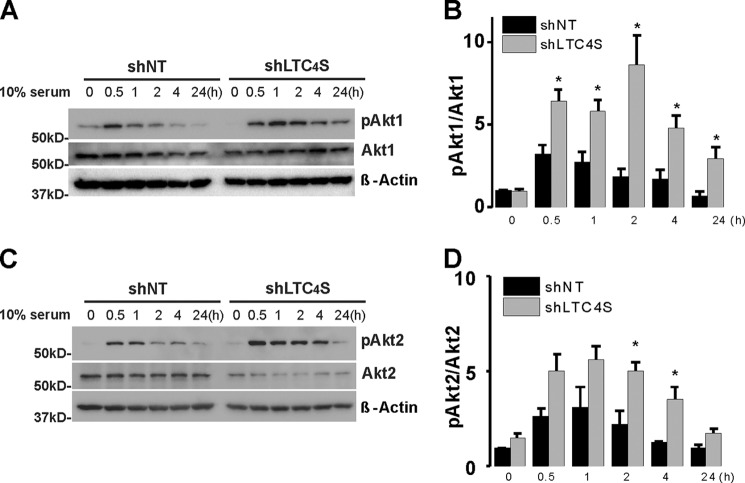 FIGURE 11.