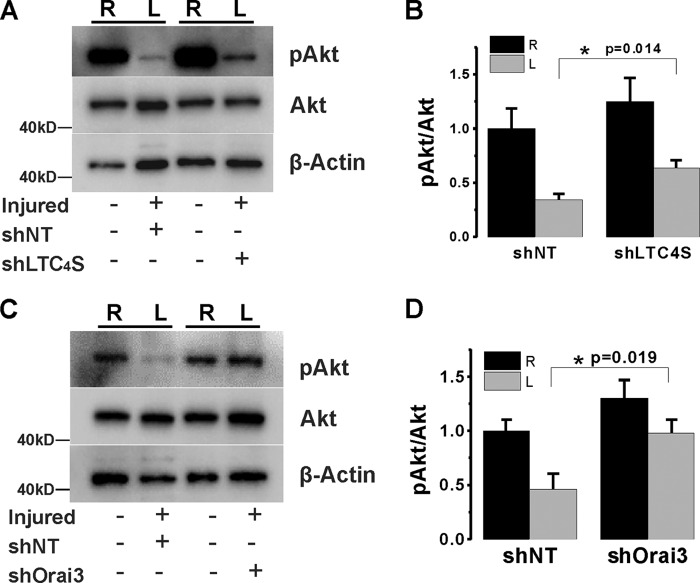 FIGURE 13.