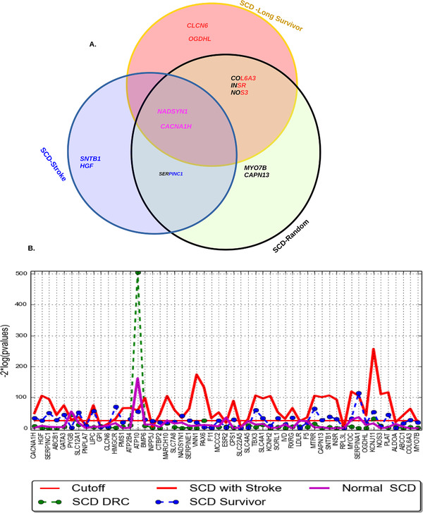 FIGURE 2