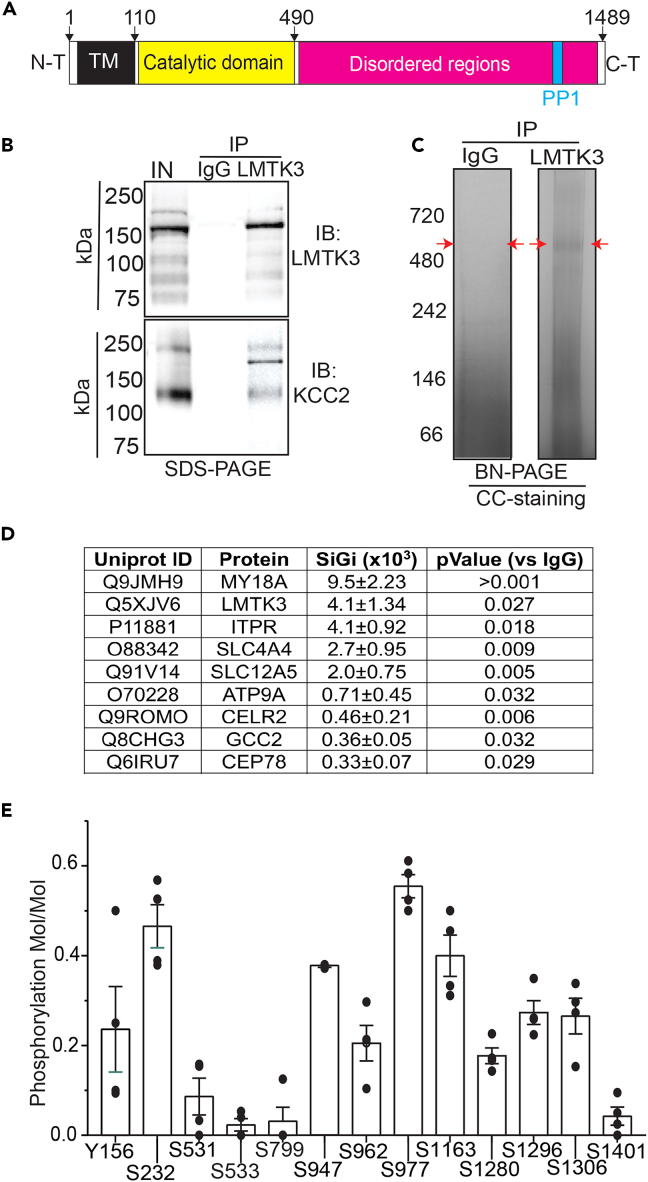 Figure 1