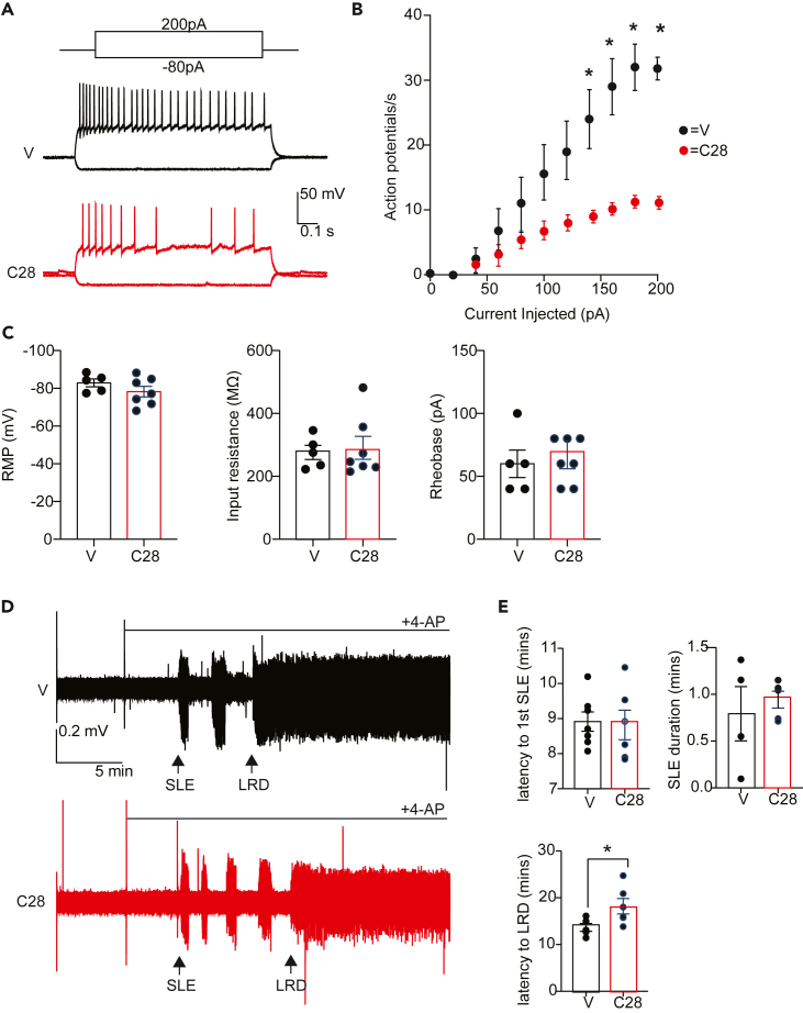 Figure 7