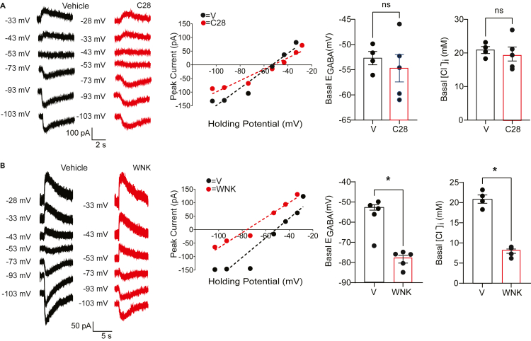 Figure 6