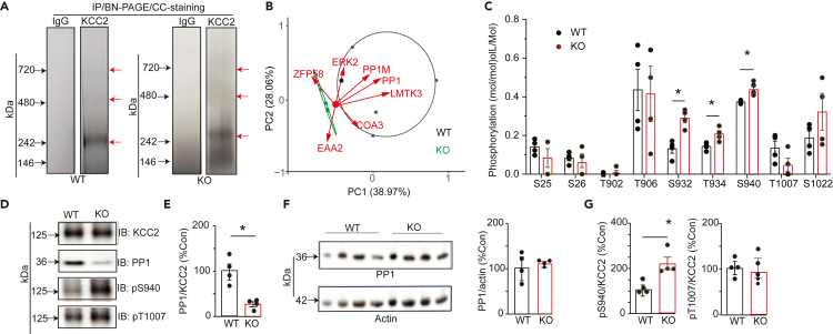 Figure 4