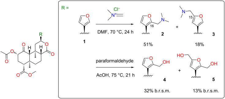 Scheme 1