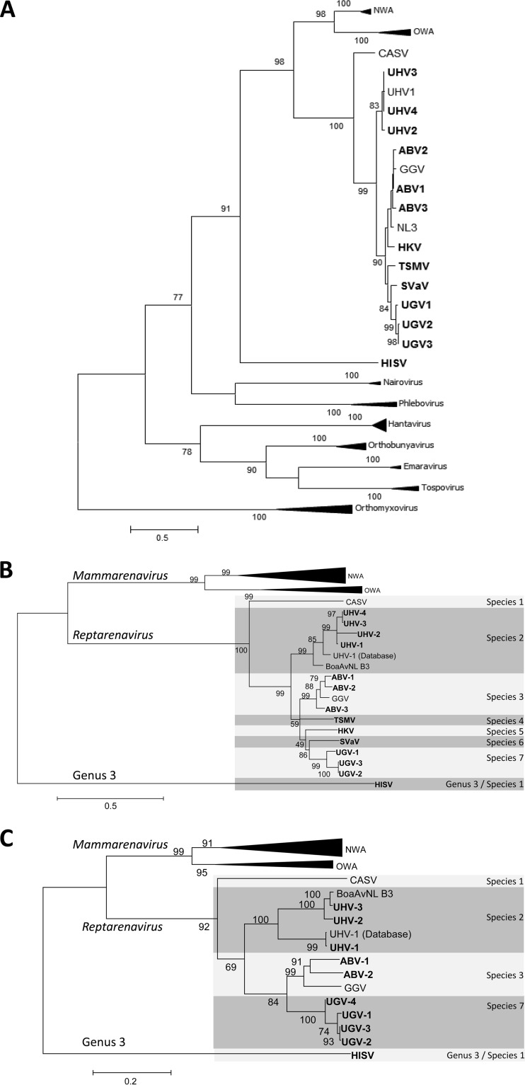 FIG 1