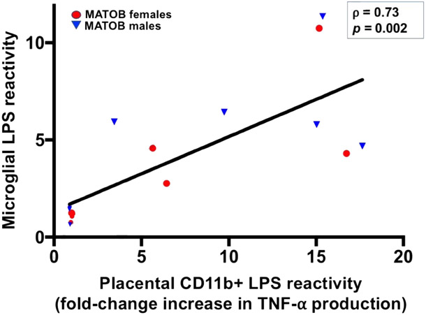 Figure 3: