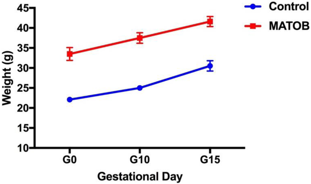 Figure 1: