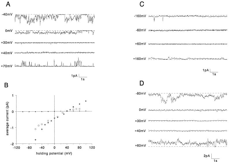 FIG. 6