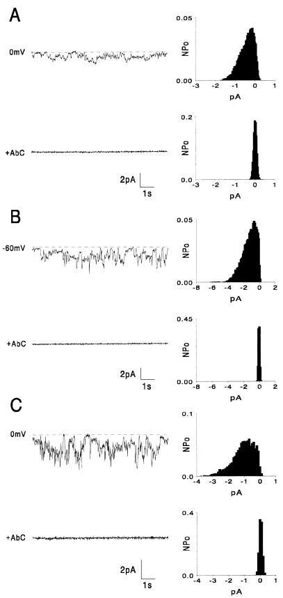 FIG. 5