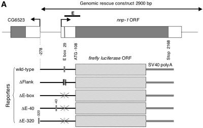 FIG. 5.