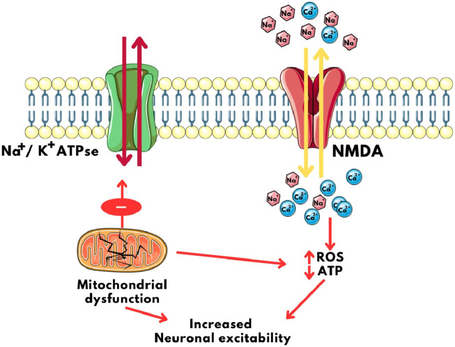 FIGURE 4