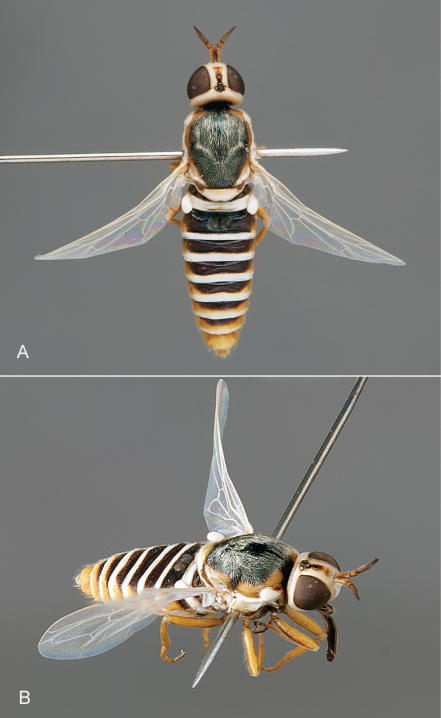 Figure 3.
