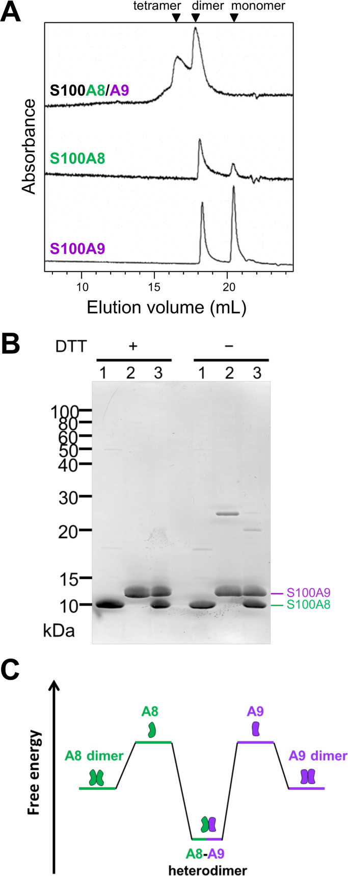 Fig. 3