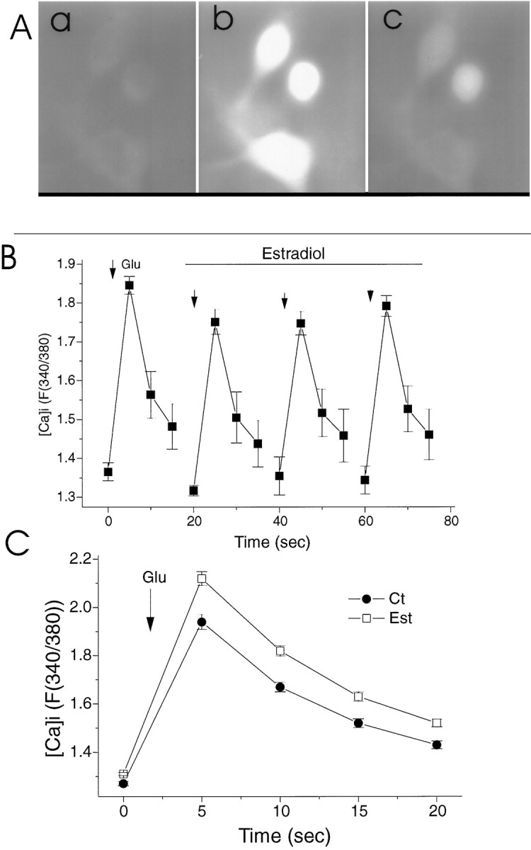 Fig. 8.