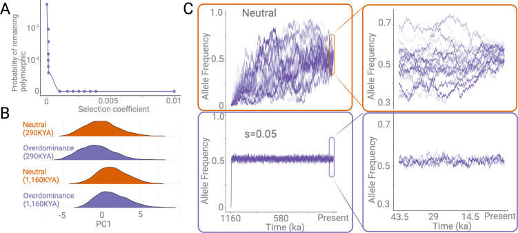 Figure 7—figure supplement 1.