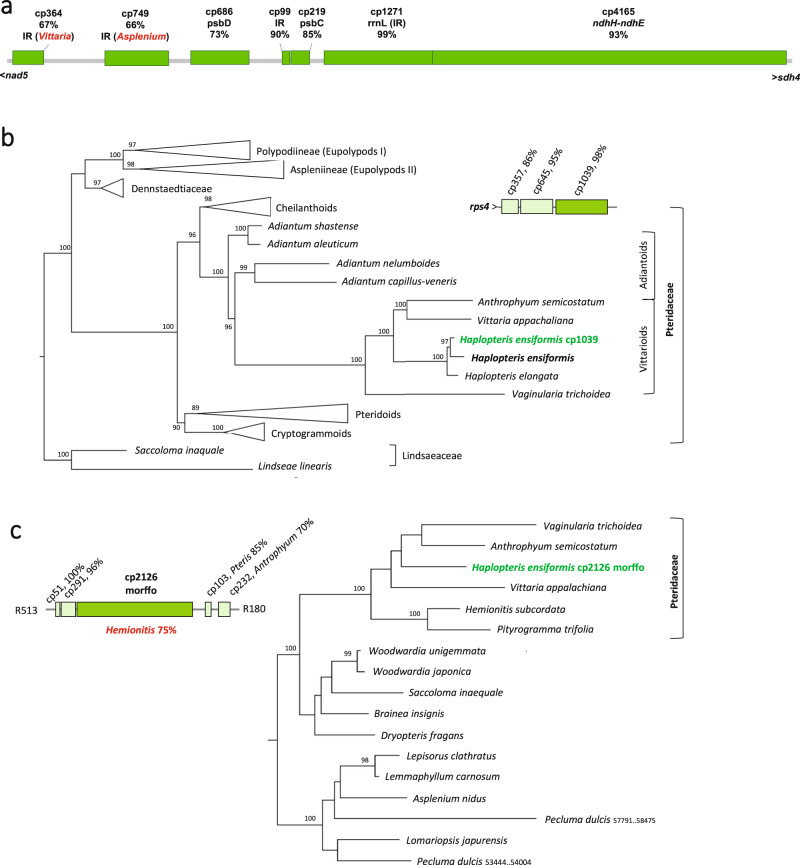 Fig. 6