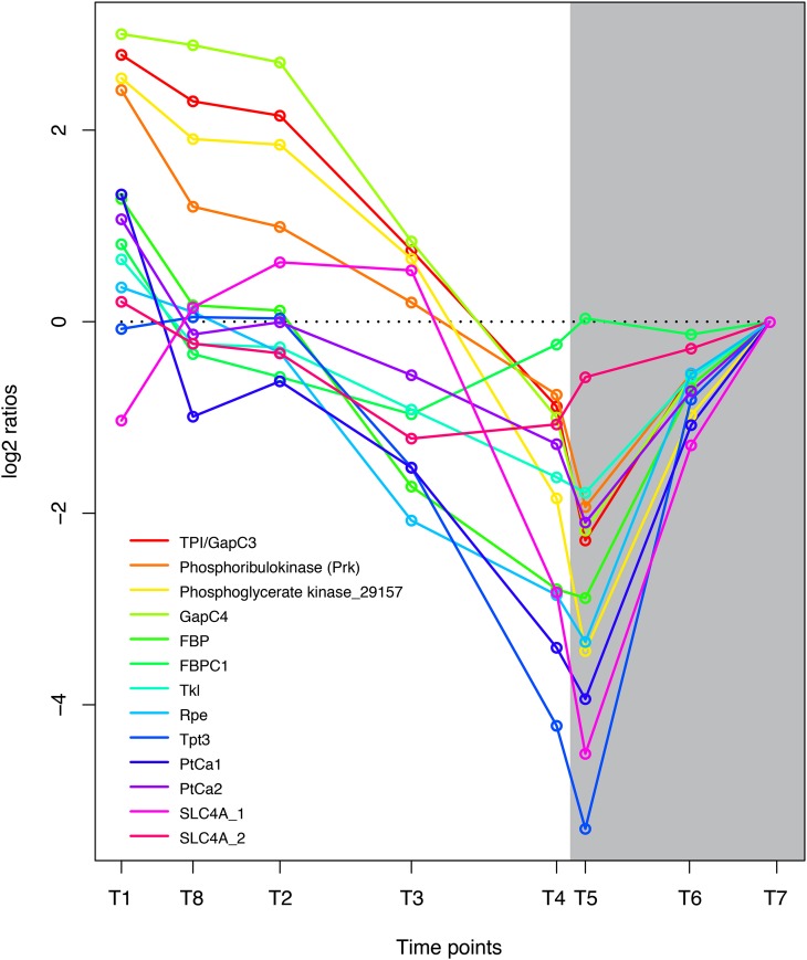 Figure 3.