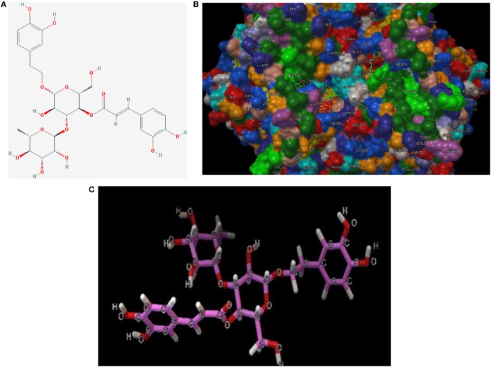 Figure 7