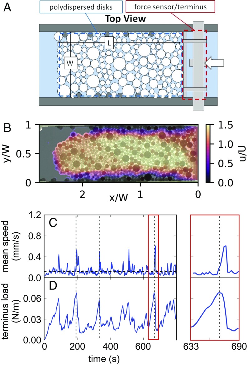 Fig. 2.