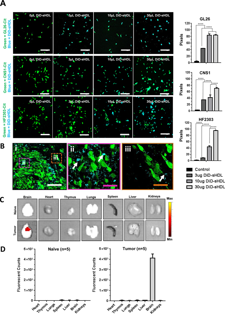 Figure 3: