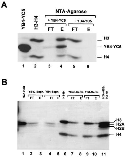 FIG. 8