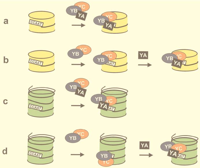 FIG. 10