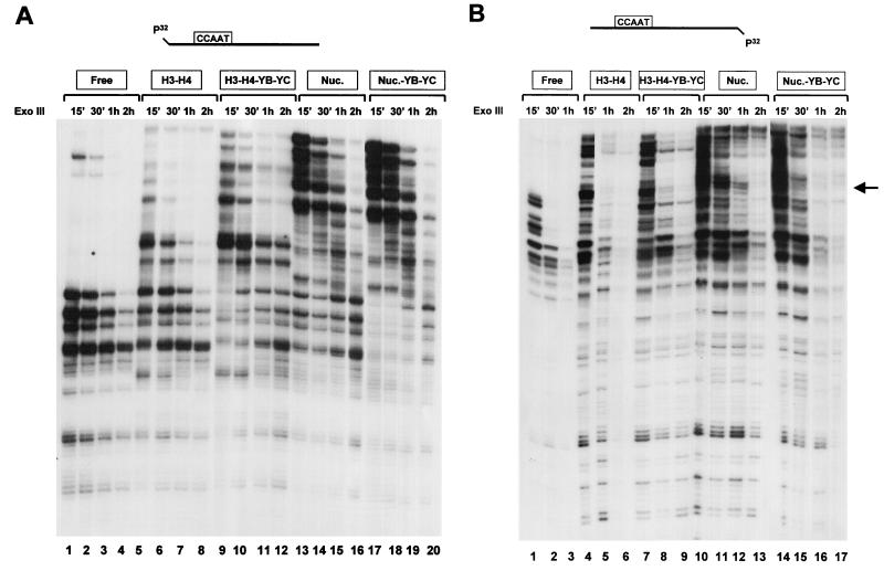 FIG. 6