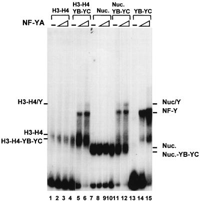 FIG. 9