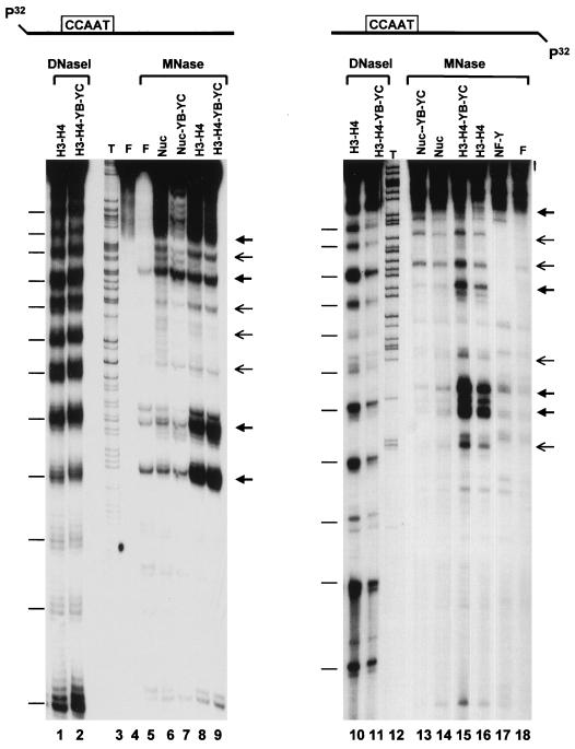 FIG. 5