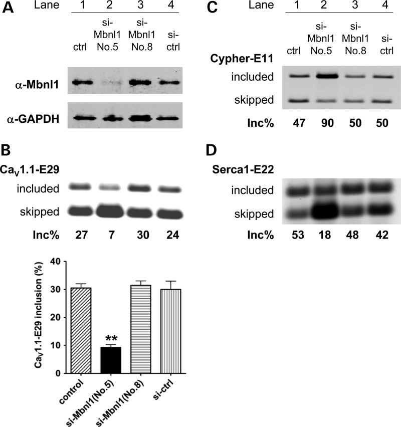 Figure 3.