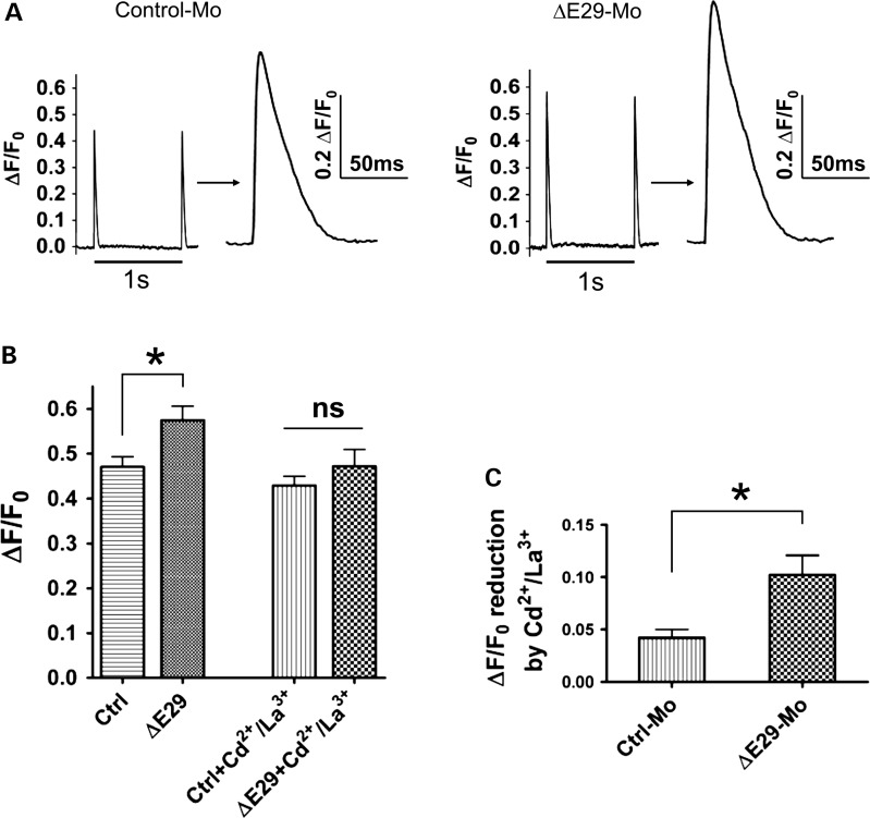 Figure 7.