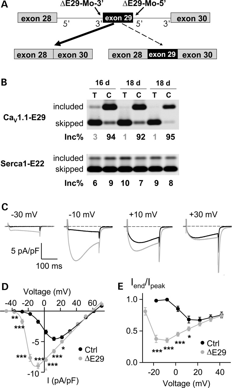 Figure 6.