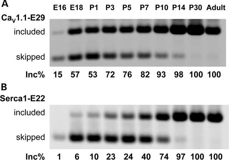 Figure 2.