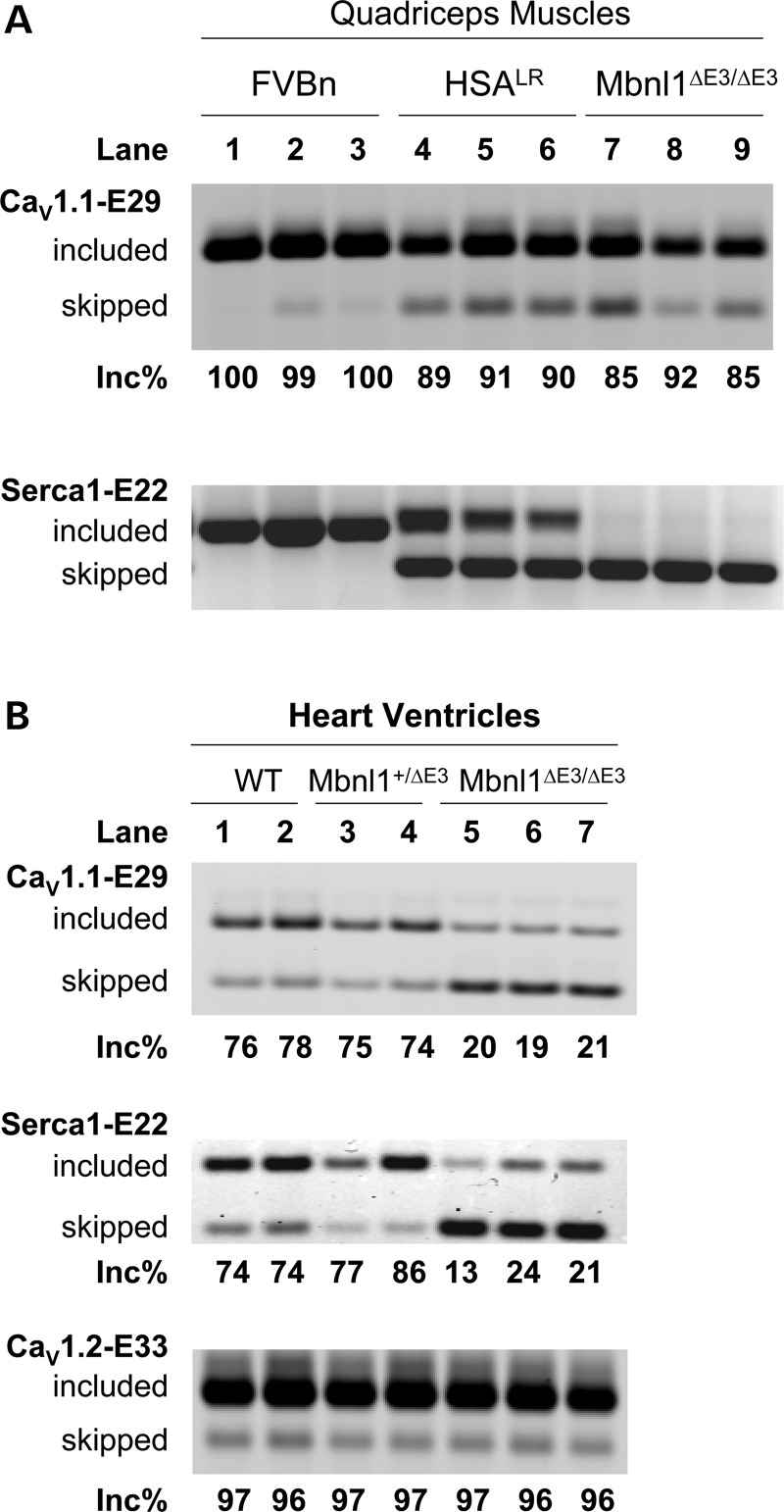 Figure 4.