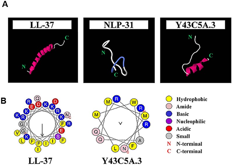 FIGURE 3